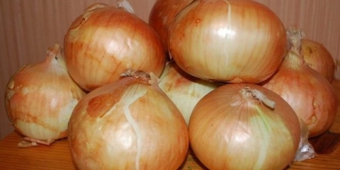 Radar za luk: opis sorte, fotografije, recenzije