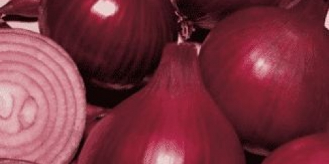 Crveni baron luka: karakteristike sorte i savjeti za uzgoj