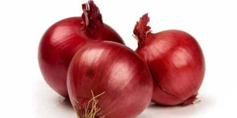 Luk luk danilovsky 301: opis sorte, recenzije, kako uzgajati iz sjemena