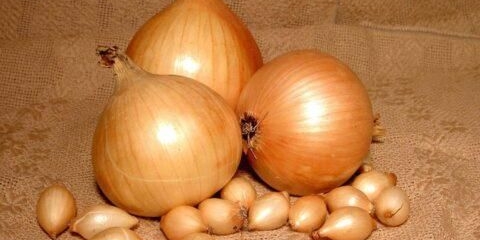 Setovi luka šetana: opis i karakteristike sorte, fotografija, ukus, recenzije