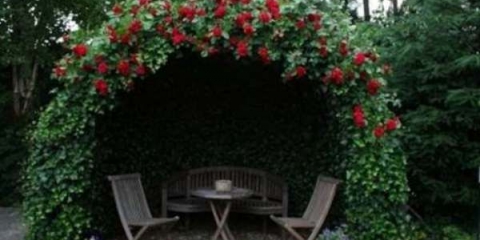 Raspberry cumberland