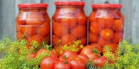 Brzo kuhanje slanih paradajza