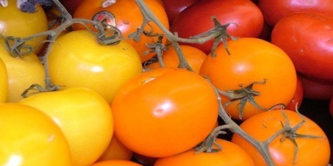 Kiseli paradajz sa lukom za zimu: recepti sa fotografijama