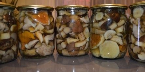 Kiseli redovi za zimu: jednostavni i ukusni recepti