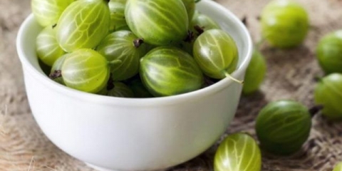 Kiseli ogrozd sa i bez belog luka: recepti za zimnice