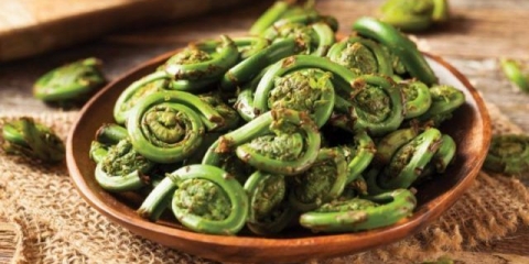 Kisela paprat: 7 recepata