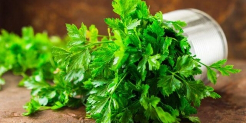 Maska, dekocija, infuzija i sok od peršina za lice: recepti, prednosti, recenzije
