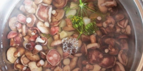 Masno rumenilo (rožičasto) kada se kuva: uzroci i šta učiniti