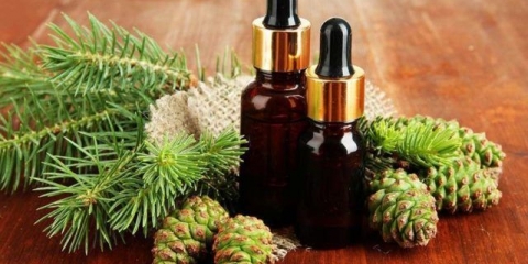 Ulje jele: ljekovita svojstva i kontraindikacije