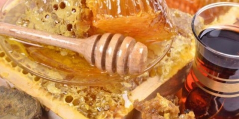 Med s propolisom: korisna svojstva i kontraindikacije