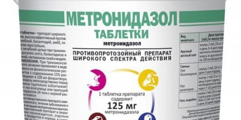 Metronidazol za ćurke: doziranje i uputstvo za upotrebu, doziranje, koliko dana piti