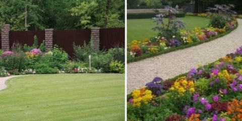 Mixborder grmova i trajnica: fotografija + dijagrami