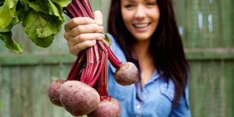 Da li je moguće uzimati cveklu tokom dojenja