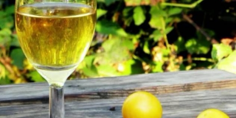 Preljev i tinktura od trešnje šljive: 6 recepata