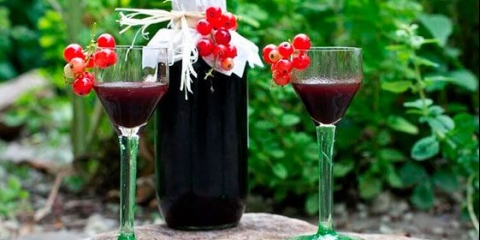 Točenje crvene ribizle kod kuće