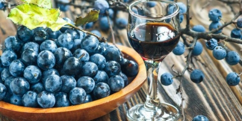 Prelivanje (tinktura) borovnica kod kuće: 8 recepata