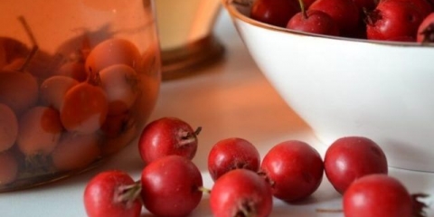 Tinktura gloga na votki kod kuće