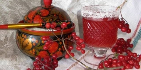 Tinktura viburnuma na votki: recept