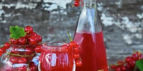 Tinktura crvene ribizle kod kuće