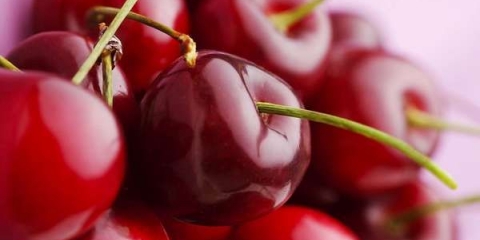 Alkoholna tinktura od višanja: recepti za svježe, sušene, smrznute bobice, sa kostima