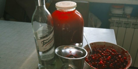 Tinktura na brusnicama na mjesečini