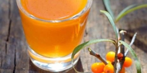 Tinktura od morske krkavine: 18 jednostavnih recepata