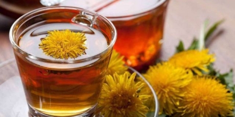 Tinktura maslačka na votki (alkohol, kolonjska voda): upotreba kod bolesti