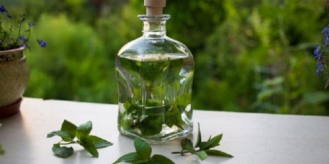 Tinktura paprene metvice: za kosu, za lice, za akne, prednosti i štete, upute za upotrebu, recenzije