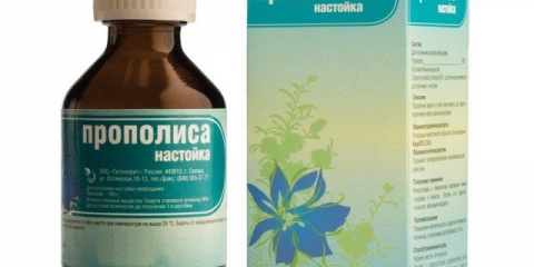 Tinktura propolisa: šta pomaže i kako je pravilno uzimati