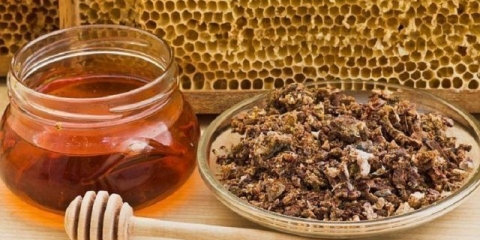 Tinktura propolisa za kašalj i drugi recepti