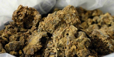 Tinktura propolisa za čir na želucu