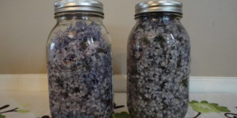 Tinktura jorgovana na votki, na alkoholu: upotreba u tradicionalnoj medicini za liječenje, recenzije