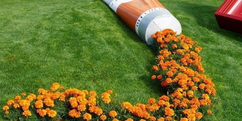 Neobične cvjetne gredice