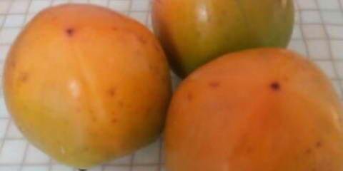 Nezreli dragun: kako sazreti, da li sazrijeva kod kuće