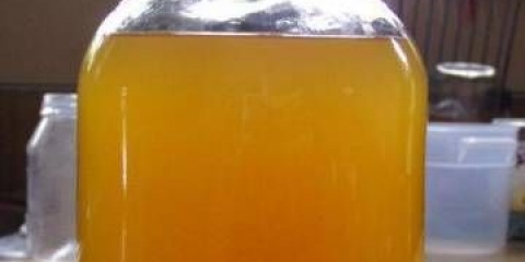 Vino od morske krkavine kod kuće