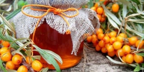 Džem od morske krkavine