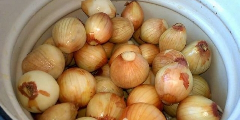 Obrada luka prije sadnje