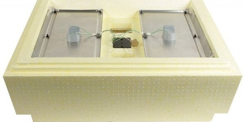 Pregled i opis inkubatora pepeljuga