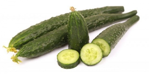 Krastavci smaragdni tok f1: uzgoj u stakleniku i otvorenom polju