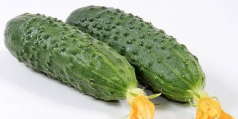 Marinadni krastavci: recenzije, fotografije, opis