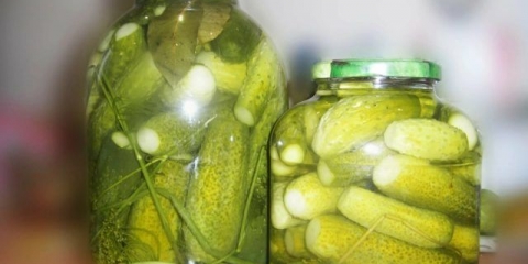 Krastavci za zimu sa jabukovim sirćetom: recepti za kiseljenje i kiseljenje