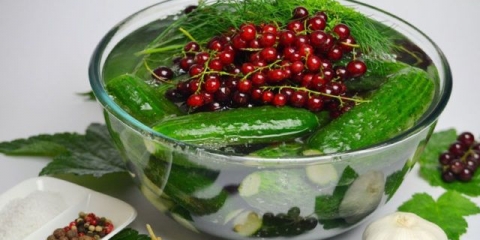 Krastavci sa crvenom ribizlom za zimu: recepti sa i bez sirćeta