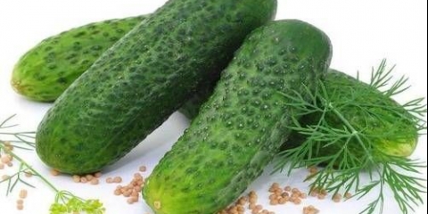 Krastavac adam f1: opis, recenzije