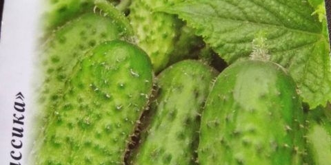 Kaskada krastavaca: recenzije + fotografije