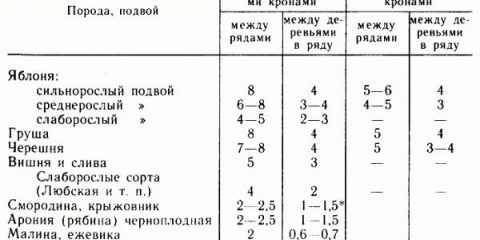 Opis mramorna kruška