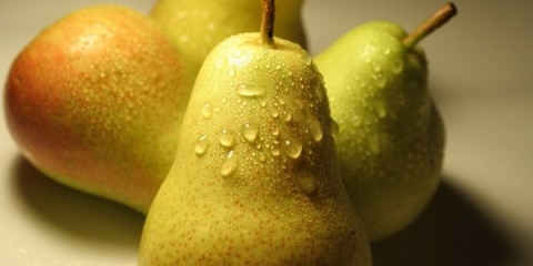 Opis i pravila za sadnju šumske ljepotice kruške