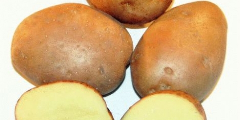 Opis sorti krompira osveta