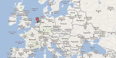 Opis pasmine - patuljasti ovan