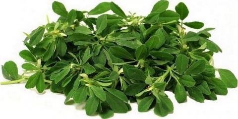 Orah trava: opis, svojstva i primjena