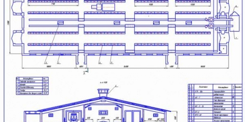 Organizacija štale: ključne tačke